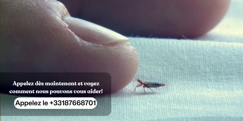 Chez IZI Nuisibles, nous sommes votre expert en extermination de nuisibles à Paris et en Île-de-France. Notre équipe dévouée se spécialise dans l'élimination de divers nuisibles, notamment les punaises de lit, les souris, les cafards, les guêpes, les frelons, les fourmis, les araignées et bien plus encore. Nous utilisons des méthodes efficaces et respectueuses de l'environnement, alliant techniques modernes et produits certifiés pour garantir votre sécurité. De plus, nos certifications attestent de notre expertise et de notre engagement envers des pratiques responsables. Faites confiance à IZI Nuisibles pour un service rapide et professionnel, afin de retrouver la tranquillité d'esprit que vous méritez.