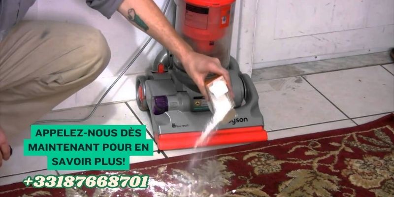 Bicarbonate de soude et punaise de lit