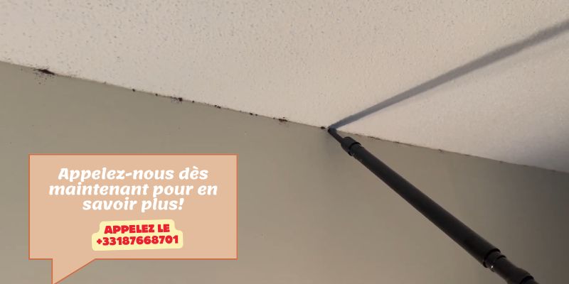 Punaise de lit plafond