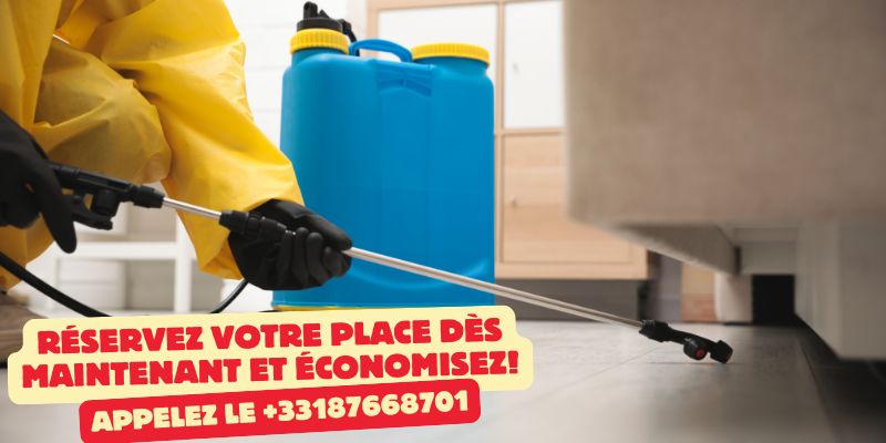 Spray répulsif punaise de lit